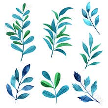 Set watercolor elements - herbs, leaf.