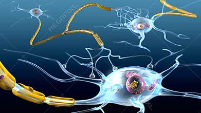 Active nerve cells, 3D animation