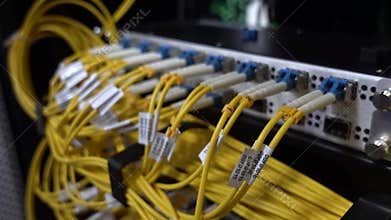 Fiber optic cable connected to switch in data center, close-up Internet network technology