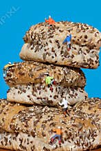 Alpinist people roll bred