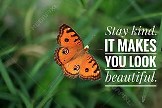 Inspirational quote - Stay kind. It makes you look beautiful. With beautiful orange butterfly flying on green grass background.