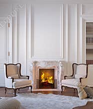 Classic black interior with fireplace, armchairs, moldings, wall pannel, carpet, fur.