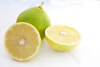 Bergamot