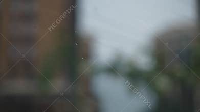 Close-up windshield with rain drops and car wipers passing. Closeup glass on rainy summer day outdoors.