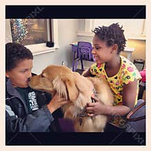 Therapy dog