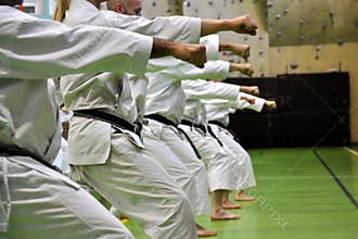 Martial arts karate