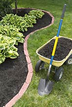Mulch Bed With Edging