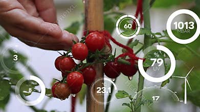 Smart digital agriculture technology by futuristic sensor data collection management by artificial intelligence to