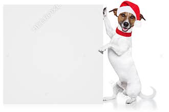 Christmas dog placeholder