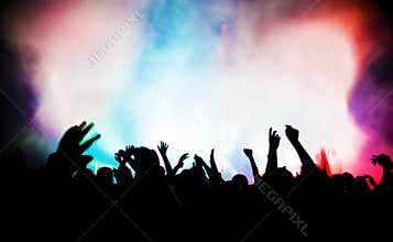 People on music concert, disco