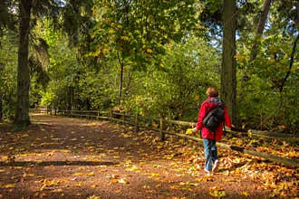 Woman on Autumn Hike