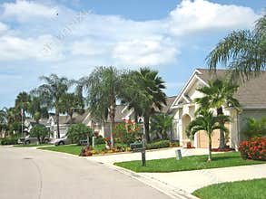 Tropical American Street 4