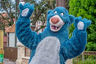 Baloo character at DIsney Magic Kingdom