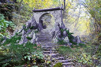 Science Fiction Portal Background, Forest