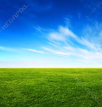 Green grass field and bright blue sky