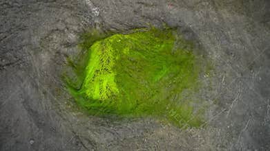 Beaten mossy rock moving with the sea water