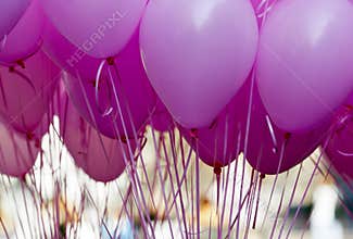 Pink Purple Ballons