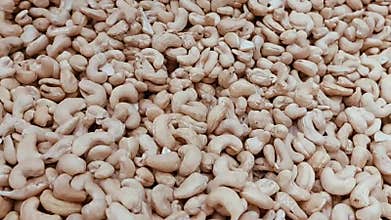 Cashew nuts or kaju special winter dry fruit in the market