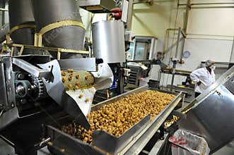 Food industry