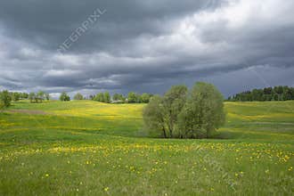 Spring landscape with scenic stormy clouds over blooming fields