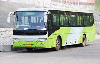 Bus