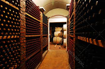Wine bottles