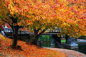 Autumn in Boston