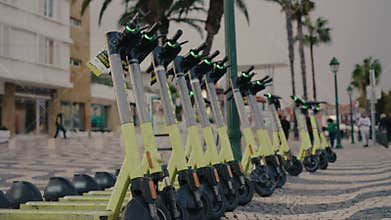 Row Of Electric Scooters Parked In A City Street With Palm Trees