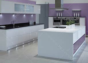 Modern high end luxury kitchen