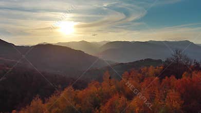 Flying over colorful foliage at sunset in mountains