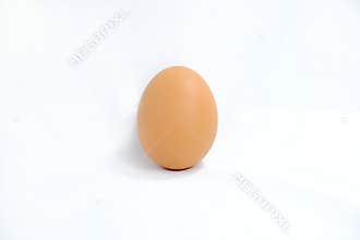 Single brown egg on a white background.