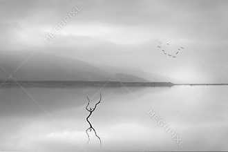 Whispering Lakes I rem