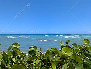 Green and Blue, Sea and Nature