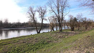 River Danube with bank, low water