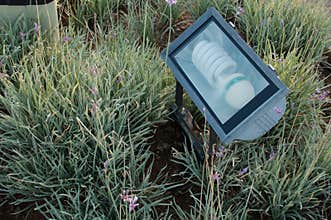 Energy saving garden flood light