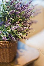 Branches lavender