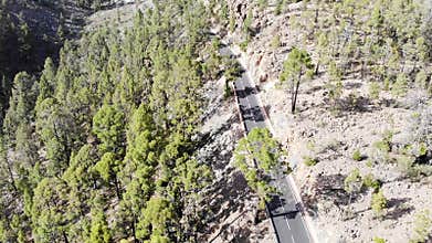 Drone view of pine forests in Las Lajas, Tenerife, Canary Islands, Spain