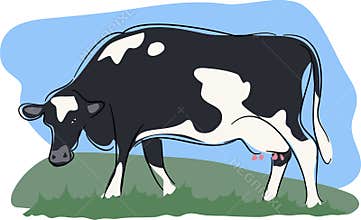 Cow