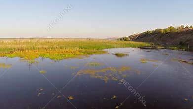 Danube delta in motion