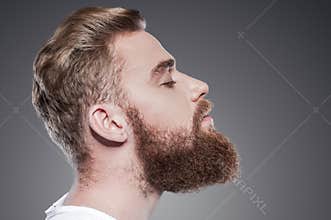 Bearded handsome.