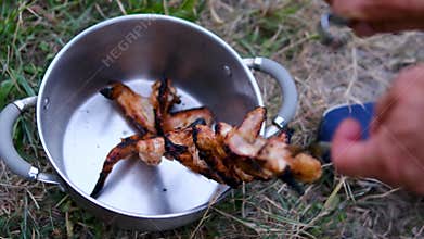Grilled Chicken Wings Recipe from Seasoning and Marinating with Onion to Cooking on Skewers over Hot Charcoal Barbecue