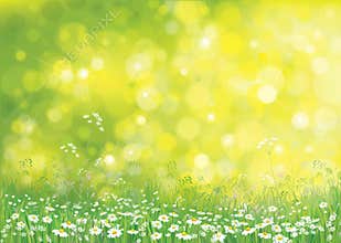 Vector summer nature background.
