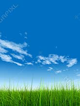 High resolution grass over sky
