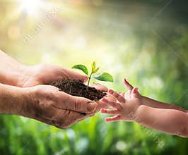 Old Man Giving Young Plant To A Child - Environment Protection