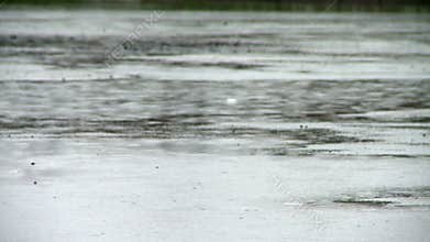 Rainy day near river bank in summer.