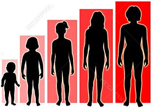 Female Growth Stages