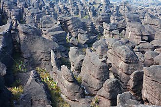 Mount Roraima landscape