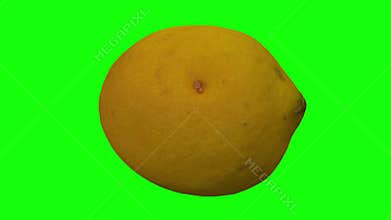 Rotating Lemon on Green Background 01