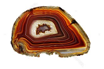Banded Agate -- Scottish Pebble
