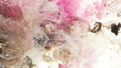 White, black and Pink liquid color mix under water